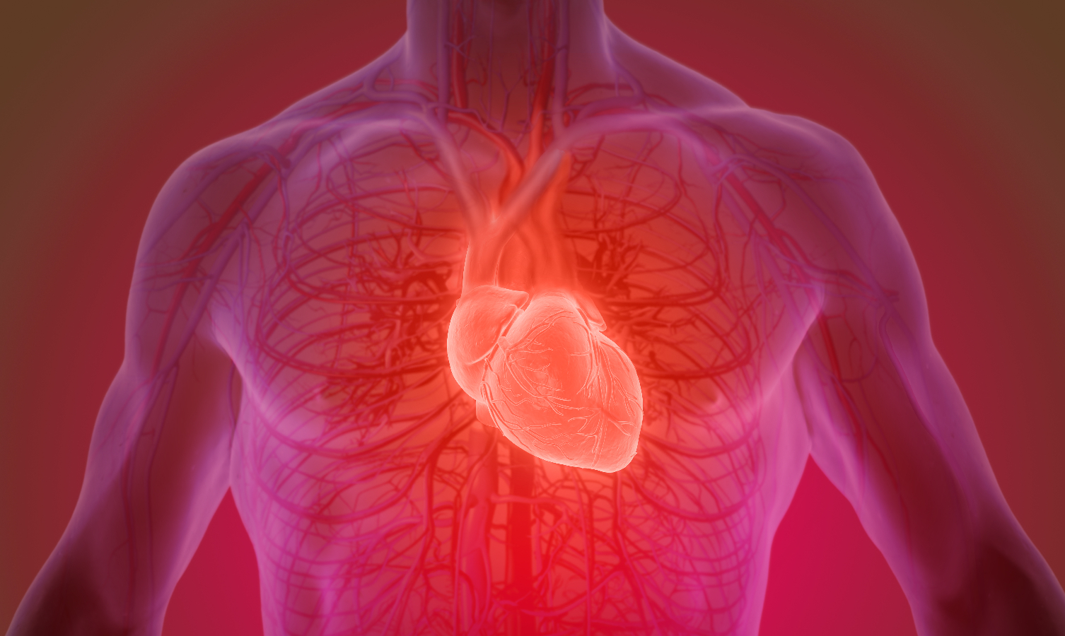 A Fotobiomodulação na Saúde Intestinal e Cardiovascular